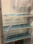 Круизно-паромное судно на продажу