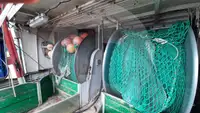 Судно для перевозки живой рыбы на продажу