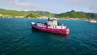 General Cargo/Multi-purpose на продажу