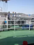 Дноуглубитель на продажу