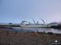 Рефрижераторное судно на продажу