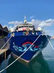 Круизное судно на продажу