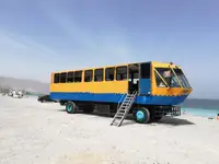 Амфибия на продажу