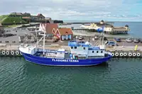 Trawler на продажу