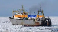 Рефрижераторное судно на продажу