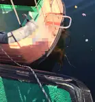 Пилотное судно на продажу