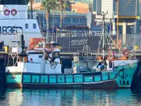 Purse seiner на продажу