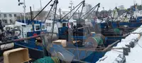 Судно-живорыбовоз на продажу