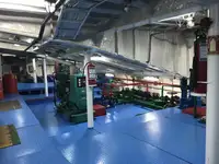 Ro-Ro ship на продажу