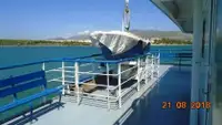 Ro-Ro ship на продажу