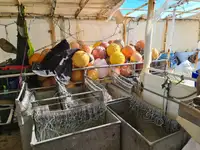 Яружный траулер на продажу