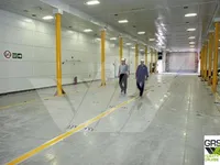 Судно RoPax на продажу