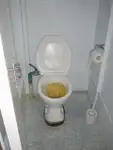 Яружный траулер на продажу