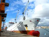 Рефрижераторное судно на продажу