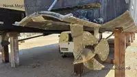 Катамаран на продажу