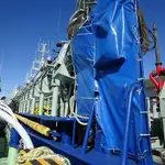 Purse seiner на продажу