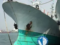 Яружный траулер на продажу