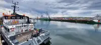 Катамаран на продажу