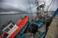 Тральник с тралом-кошельком на продажу