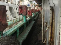 Судно для ловли кальмаров на продажу