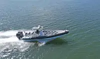 Жесткая надувная лодка на продажу