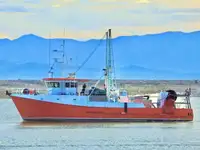 Trawler на продажу