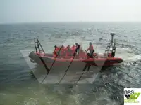 Жесткая надувная лодка на продажу
