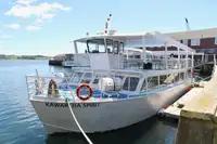Пассажирское судно на продажу