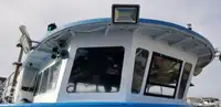Катамаран на продажу