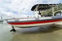Амфибия на продажу