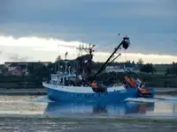 Тральник с тралом-кошельком на продажу