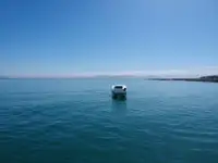 Катамаран на продажу