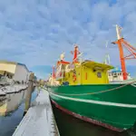 Патрульный катер на продажу