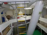 Сухогруз на продажу