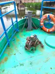Рабочие суда на продажу