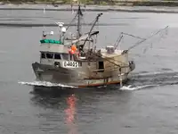 Longliner на продажу