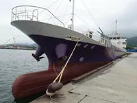 General Cargo/Multi-purpose на продажу