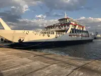 Ro-Ro ship на продажу