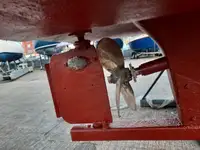 Каттер на продажу