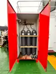General Cargo/Multi-purpose на продажу