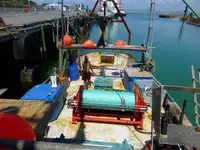 Trawler на продажу