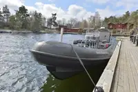 Жесткая надувная лодка на продажу