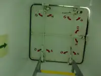 Сухогруз на продажу