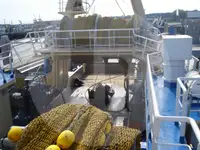 Судно-живорыбовоз на продажу