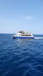 Катамаран на продажу