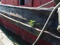 Буксир на продажу