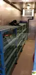 Круизное судно на продажу