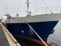 General Cargo/Multi-purpose на продажу
