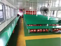 Паром на продажу