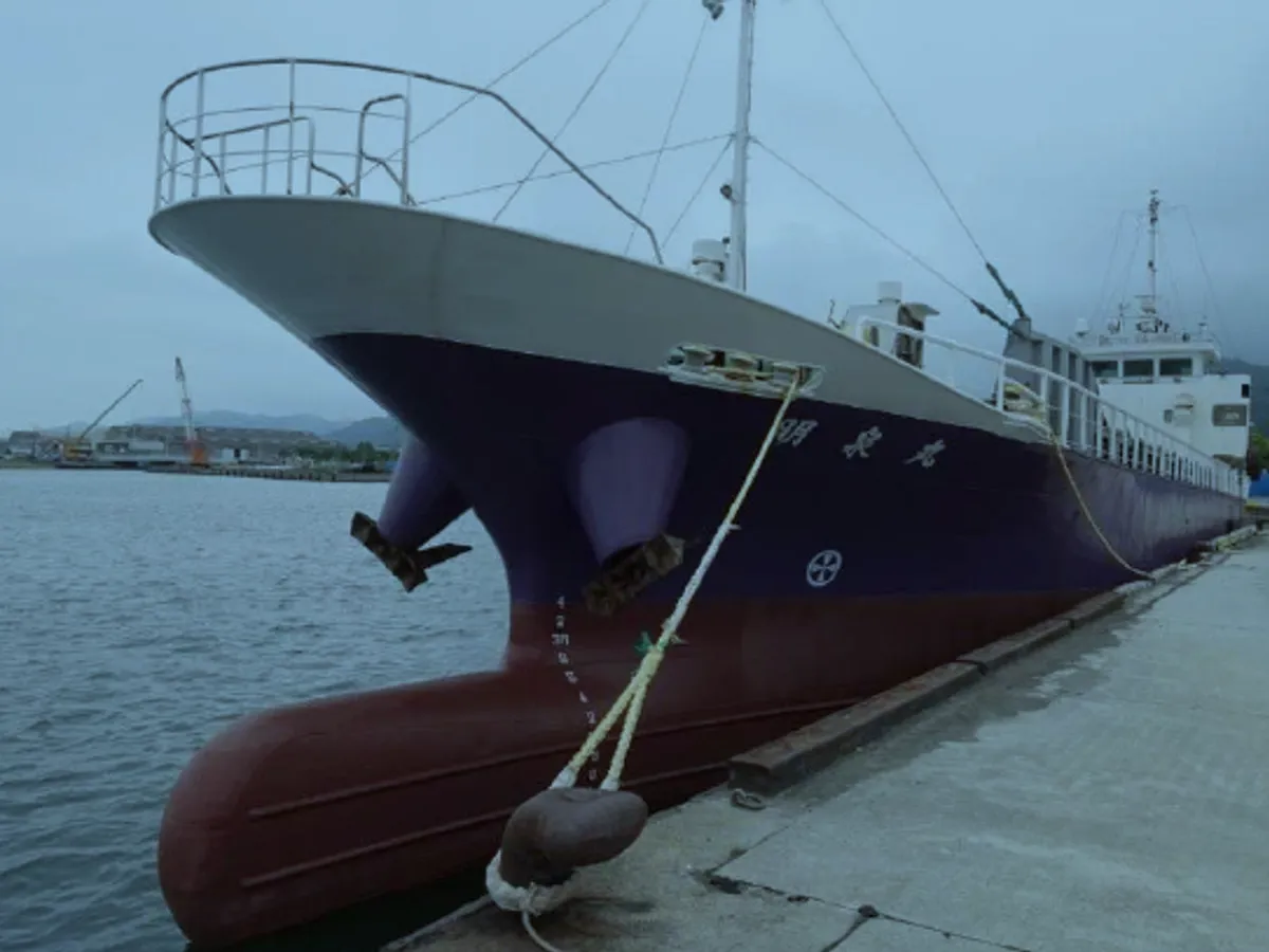 General Cargo/Multi-purpose на продажу